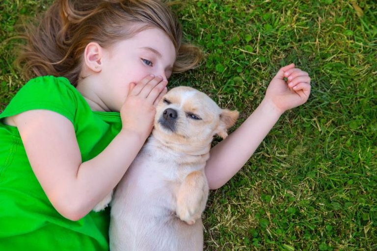 Animalele pot ajuta un copil cu autism
