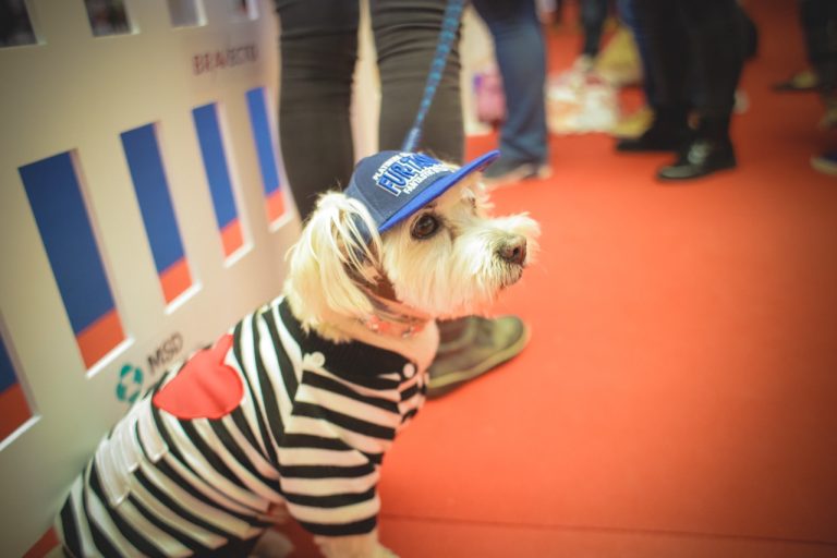 Singurul eveniment de lifestyle pentru animale își deschide porțile pe 5 mai