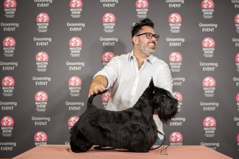 Show de pet grooming la PetExpo 2019