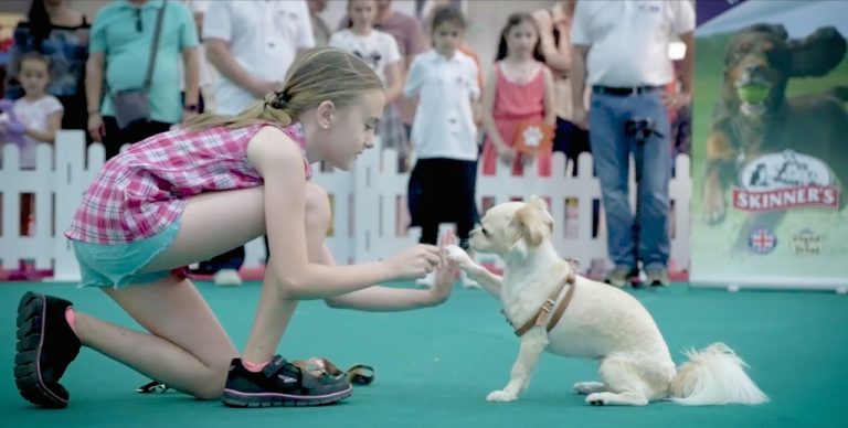 Cel mai frumos loc de pe Pamant pentru animalute, PetExpo 2019 are loc anul acesta intre 12 si 14 Aprilie, la Romexpo