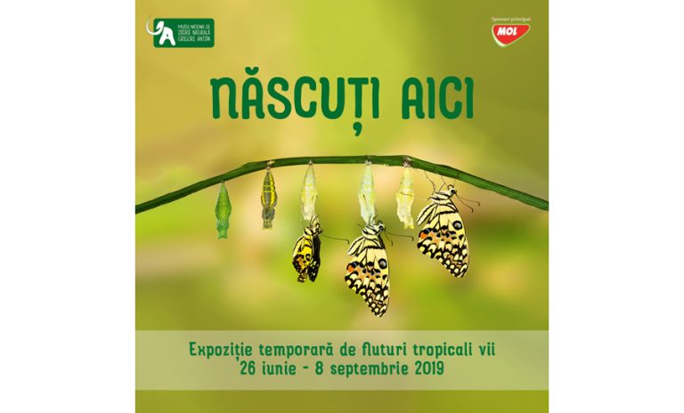 „Născuți aici”, expoziție temporară de fluturi tropicali vii