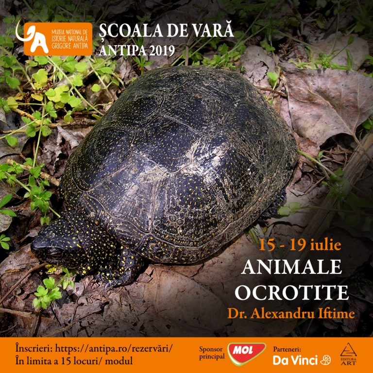 Animale ocrotite
