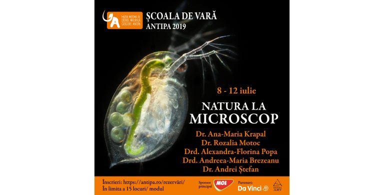 Natura la microscop