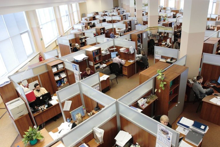 Ministerul Muncii: Angajații firmelor care își întrerup activitatea din cauza noilor cazuri de COVID-19 vor primi șomaj