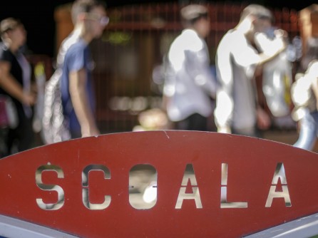 Guvernul a dat liber la școli experimentale din toamnă. Ce sunt și cum vor funcționa unitățile-pilot