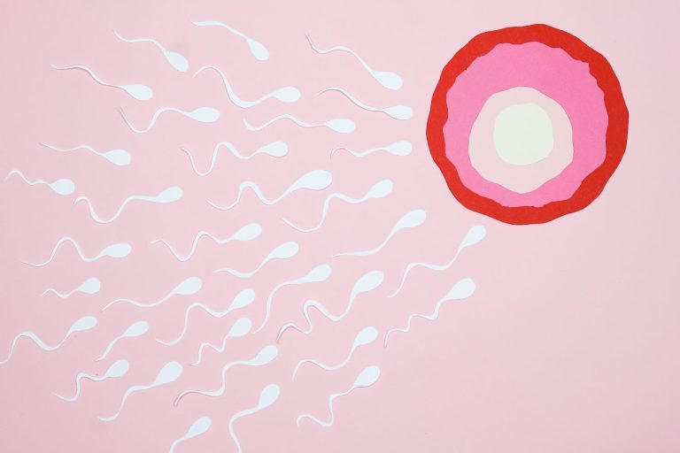 Top 7 factori ce influențează fertilitatea feminină